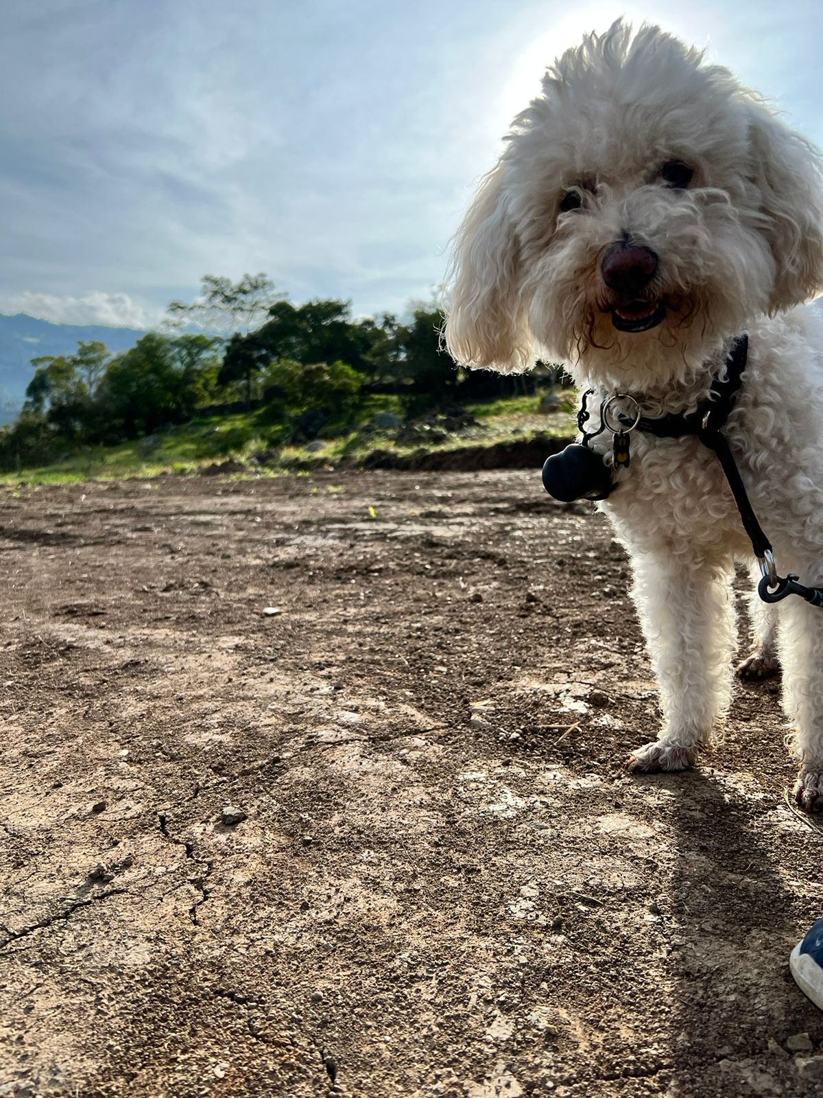 WhatsApp Image 2025-05-03 at 10.57.51 AM